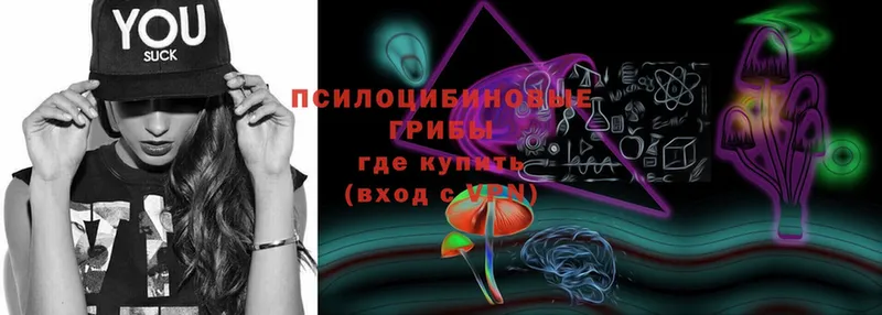 Галлюциногенные грибы Cubensis  Мещовск 